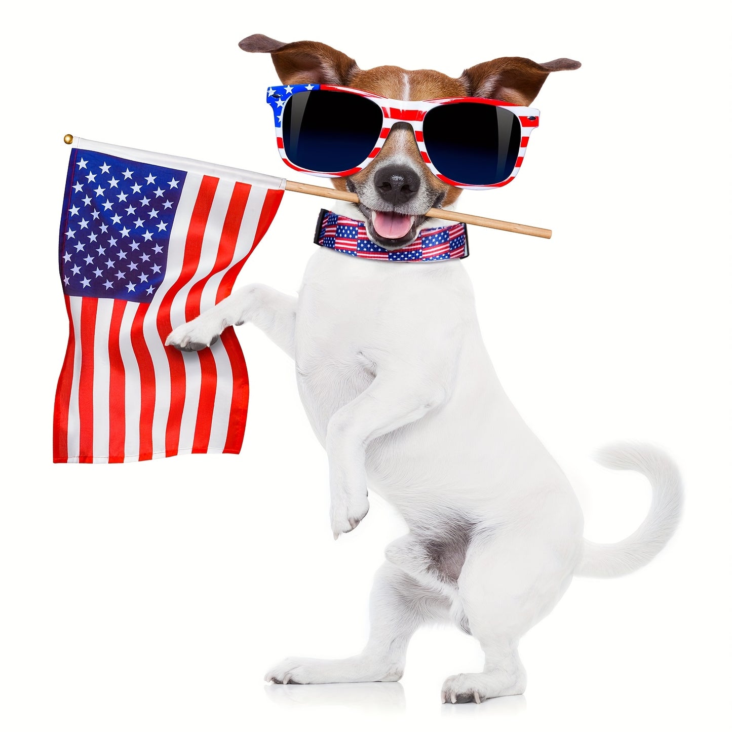 American Flag Dog Collars Set for Stylish Pets