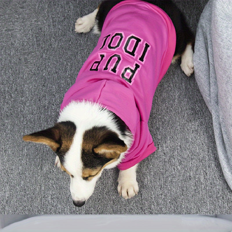 Warm Dog Hoodie For Cold Weather Comfort And Style
