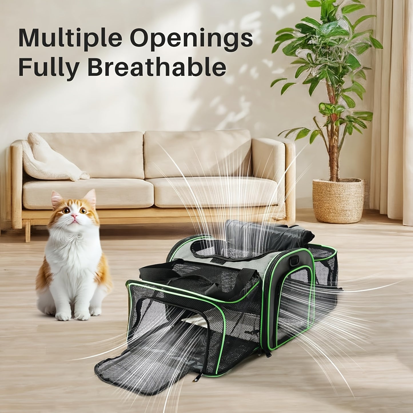Under 15lb Collapsible Pet Carrier With Wheels For Cats