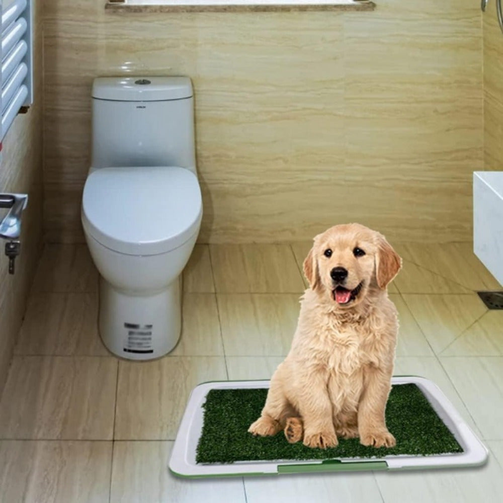 Artificial Grass Puppy Potty Easy Clean-Up Dog Training Toilet