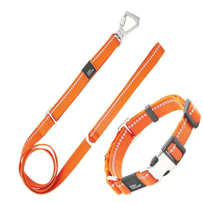 Pet Life Advent Outdoor Series Reflective Dog Leash Collar Combo