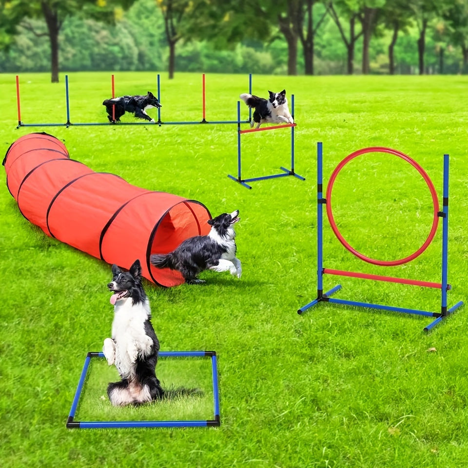 Introductory Pet Obstacle Course - Dog Agility Training Set Outdoor