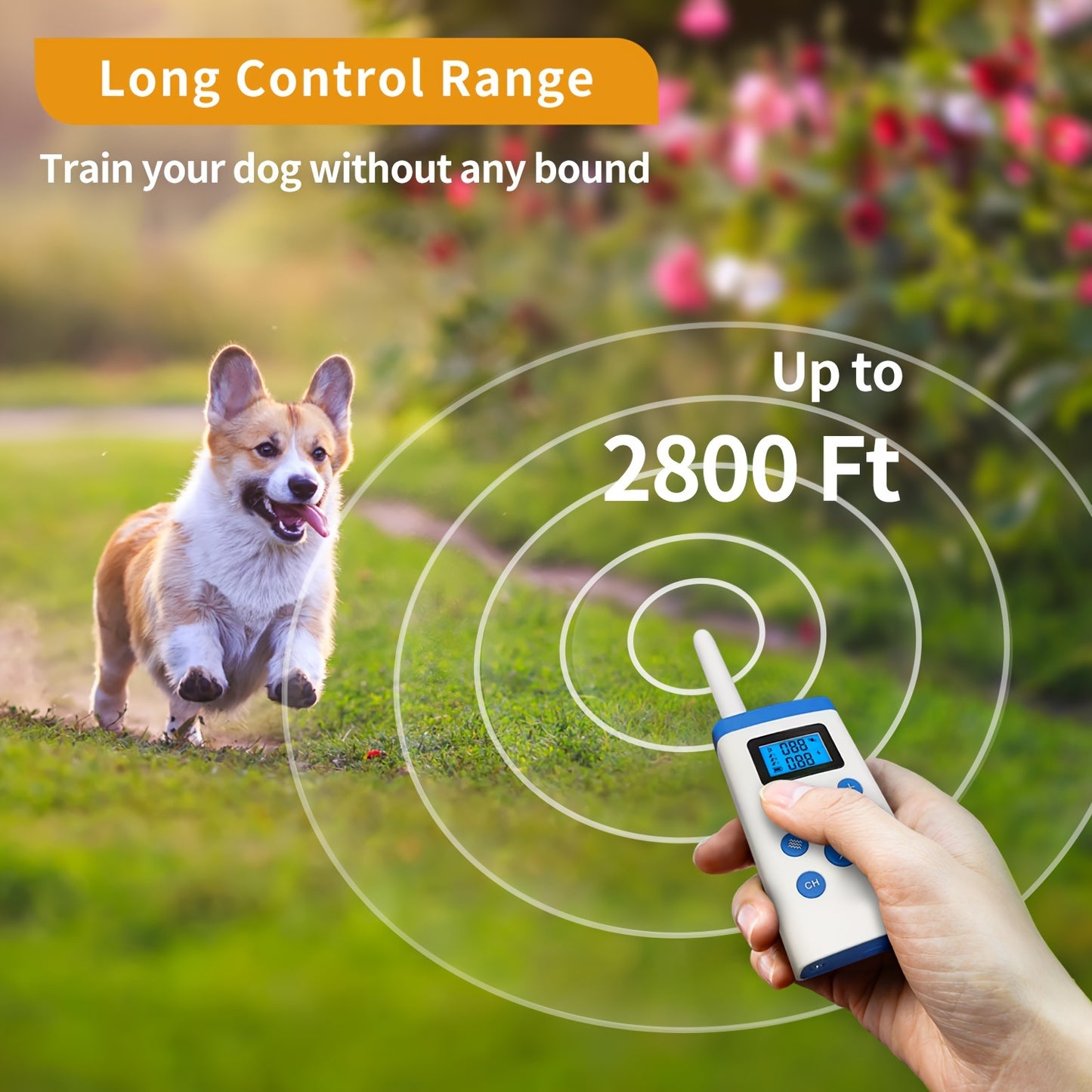 Shock Collar with Remote 3 Dog Shock Collar 3600 Ft Range