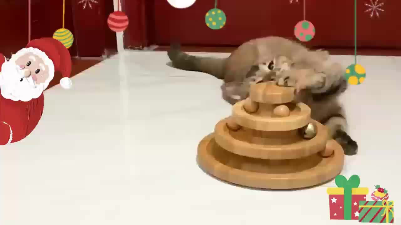 Interactive Cat And Dog Carousel Track Toy With Detachable Balls