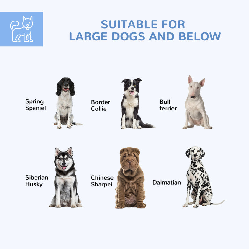 Outdoor Dog Kennel with Waterproof Roof and Lockable Door
