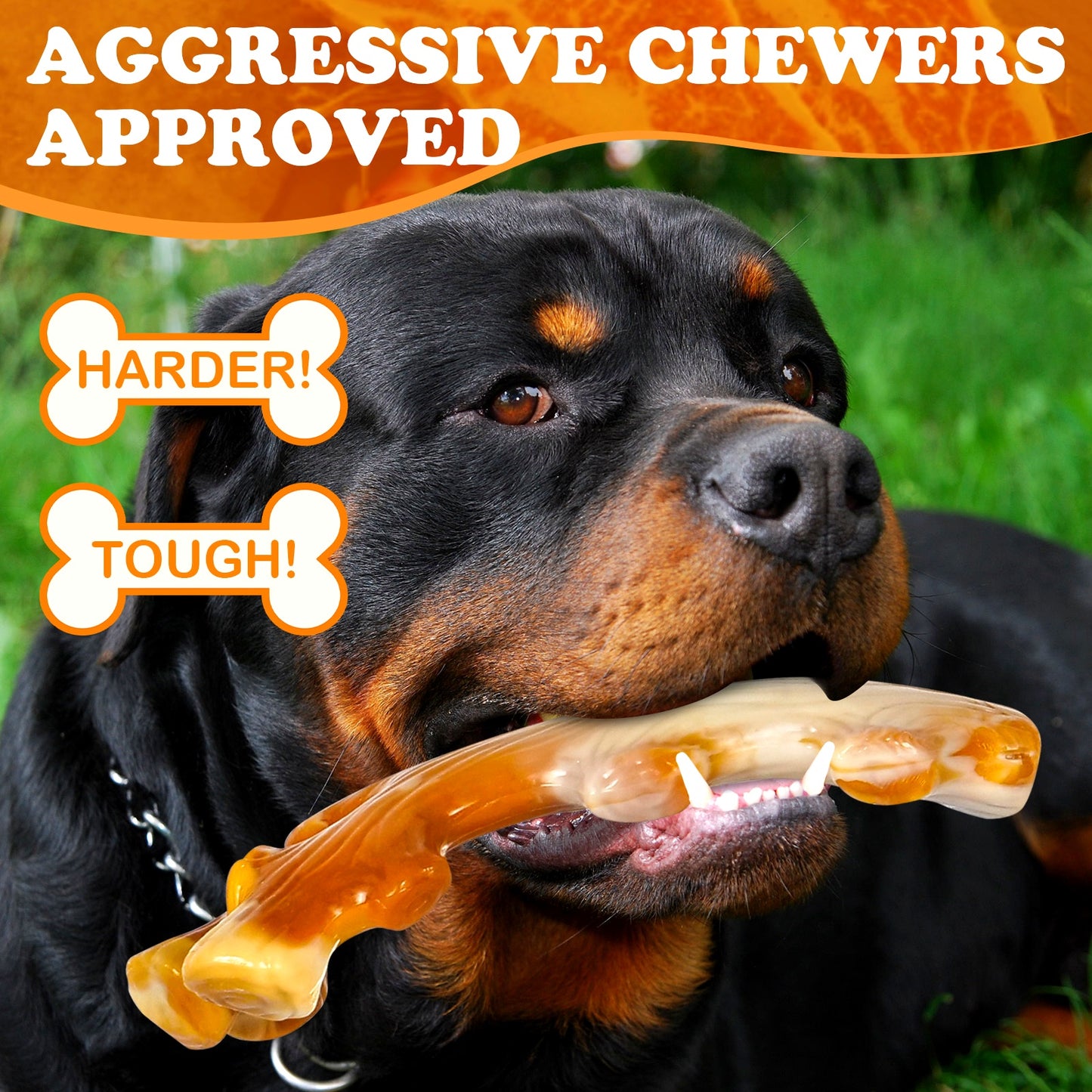 Apasiri Indestructible Bacon Flavored Dog Chew Toys Pack