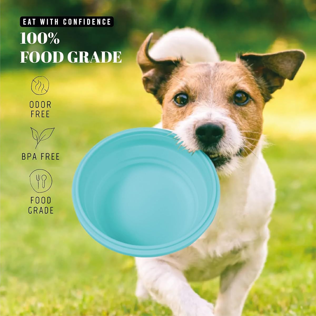 30oz Airtight Collapsible Dog Bowls with Lids, 2 Pack