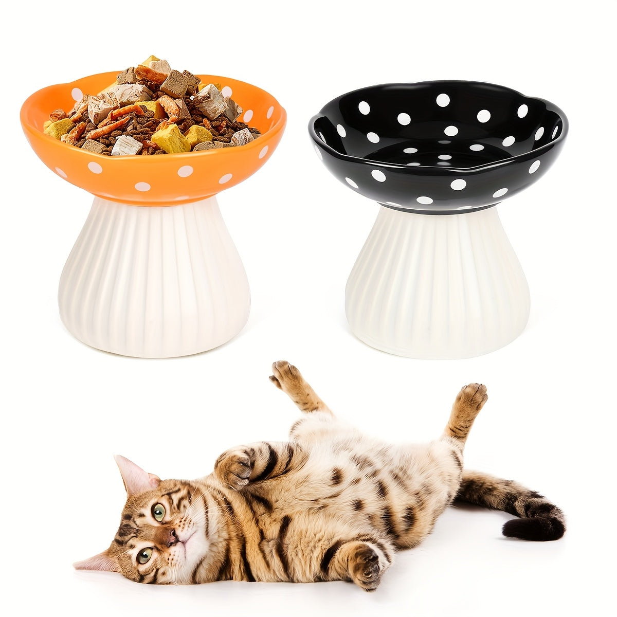 Ceramic Elevated Cat Bowls Set for Comfortable Dining Experience