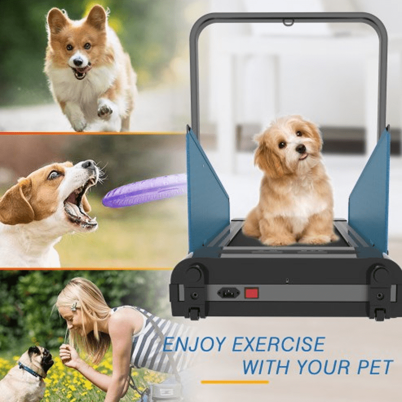 Dog Treadmill for Medium Small Dog Pacer Indoor Exercise