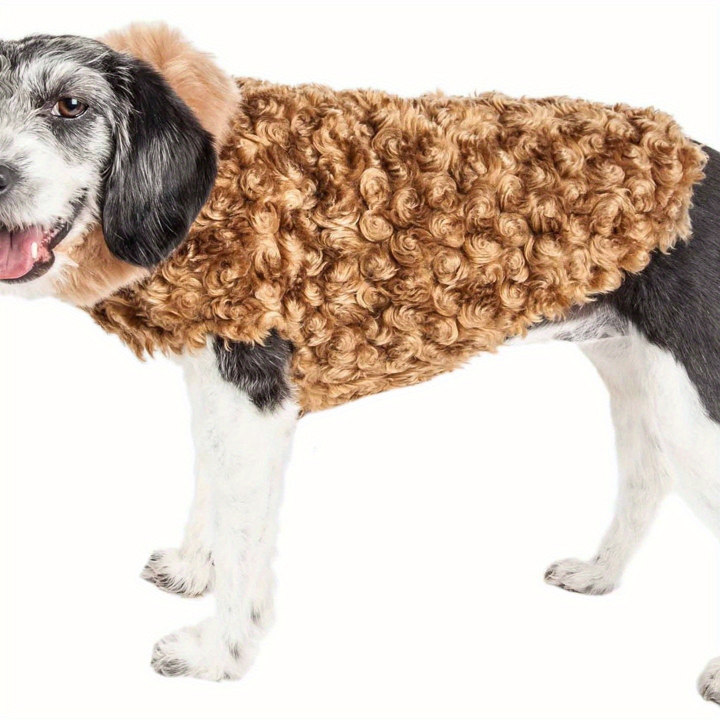 Luxury Shaggy Dog Coat with Faux-Fur Collar and Warm Lining