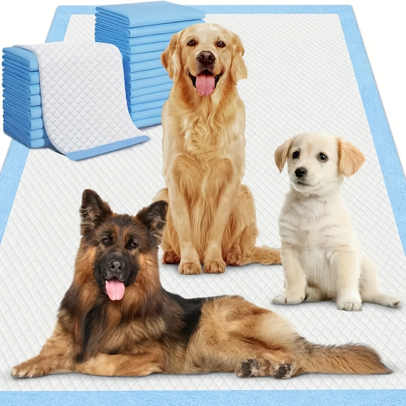 200pcs Extra-Large Disposable Dog Training Pads for Potty Training