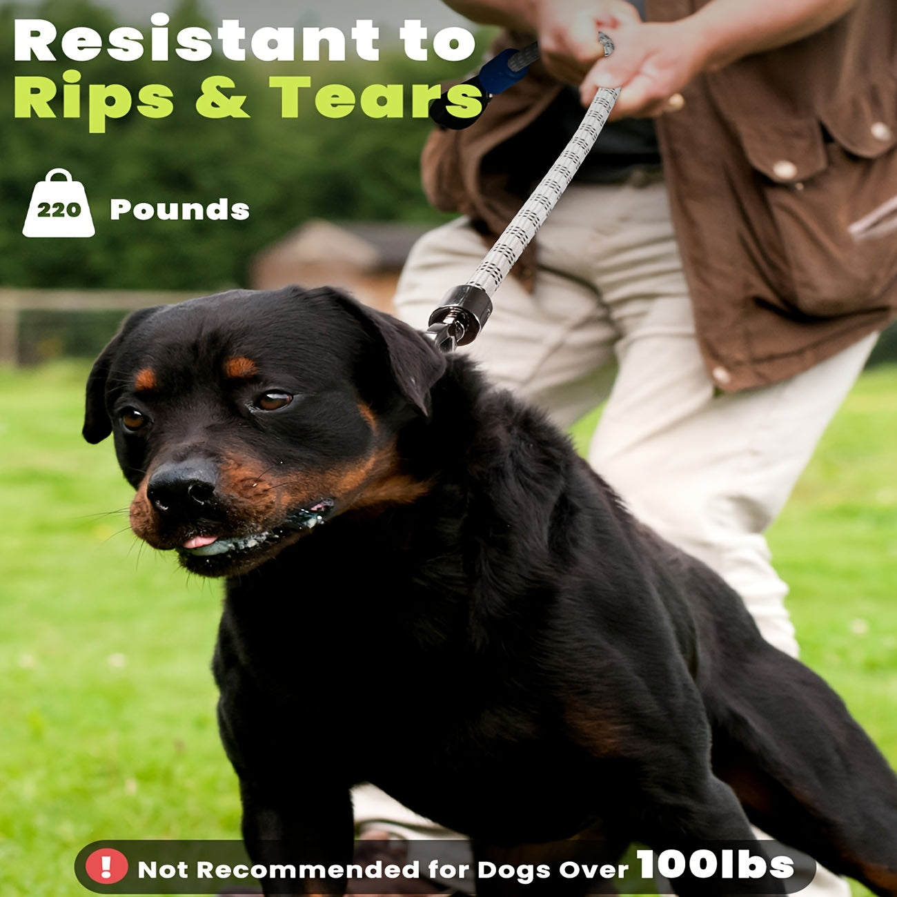 Reflective Dog Leash, Heavy Duty LED Lighted Leash