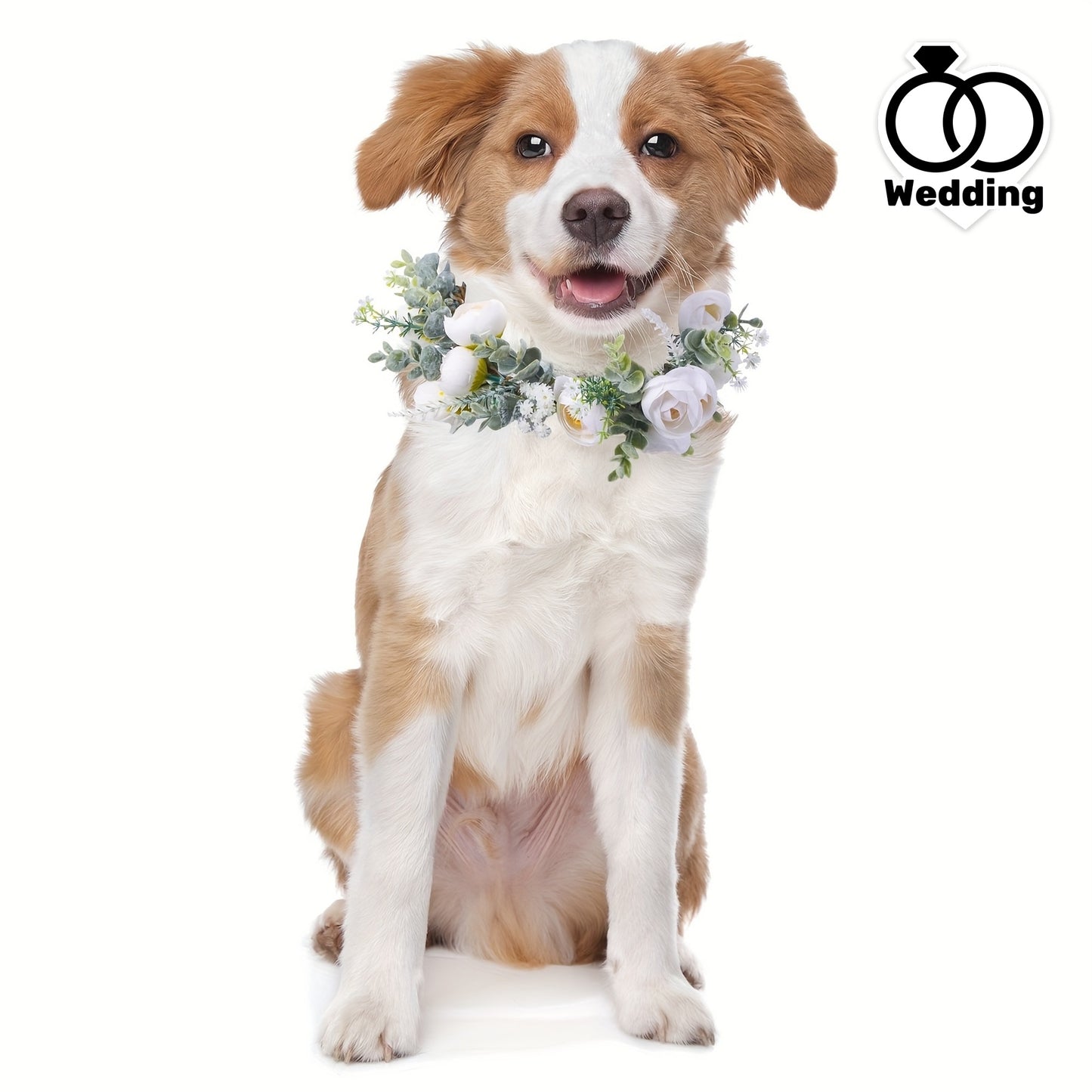 Dog Wedding Flower Collar for Autumn Ceremonies and Photo Props