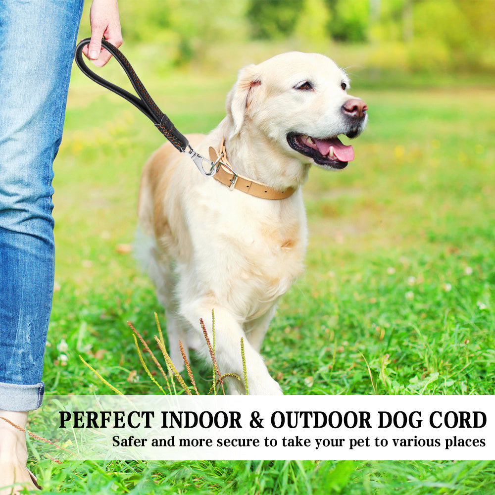 Vivicreate Short Leather Dog Leash for Large Medium Dogs