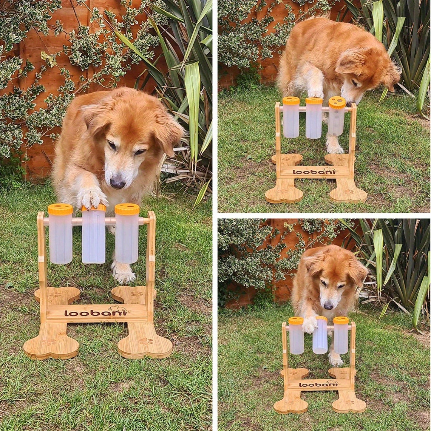 Interactive Wooden Dog Puzzle Toy for Mental Stimulation and Training