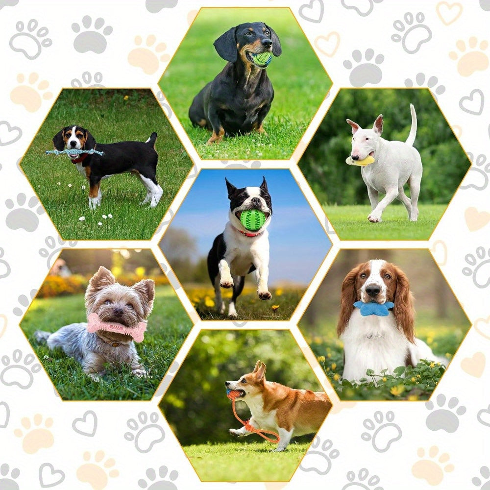 Interactive Dog Toy Set for Small and Medium Dogs
