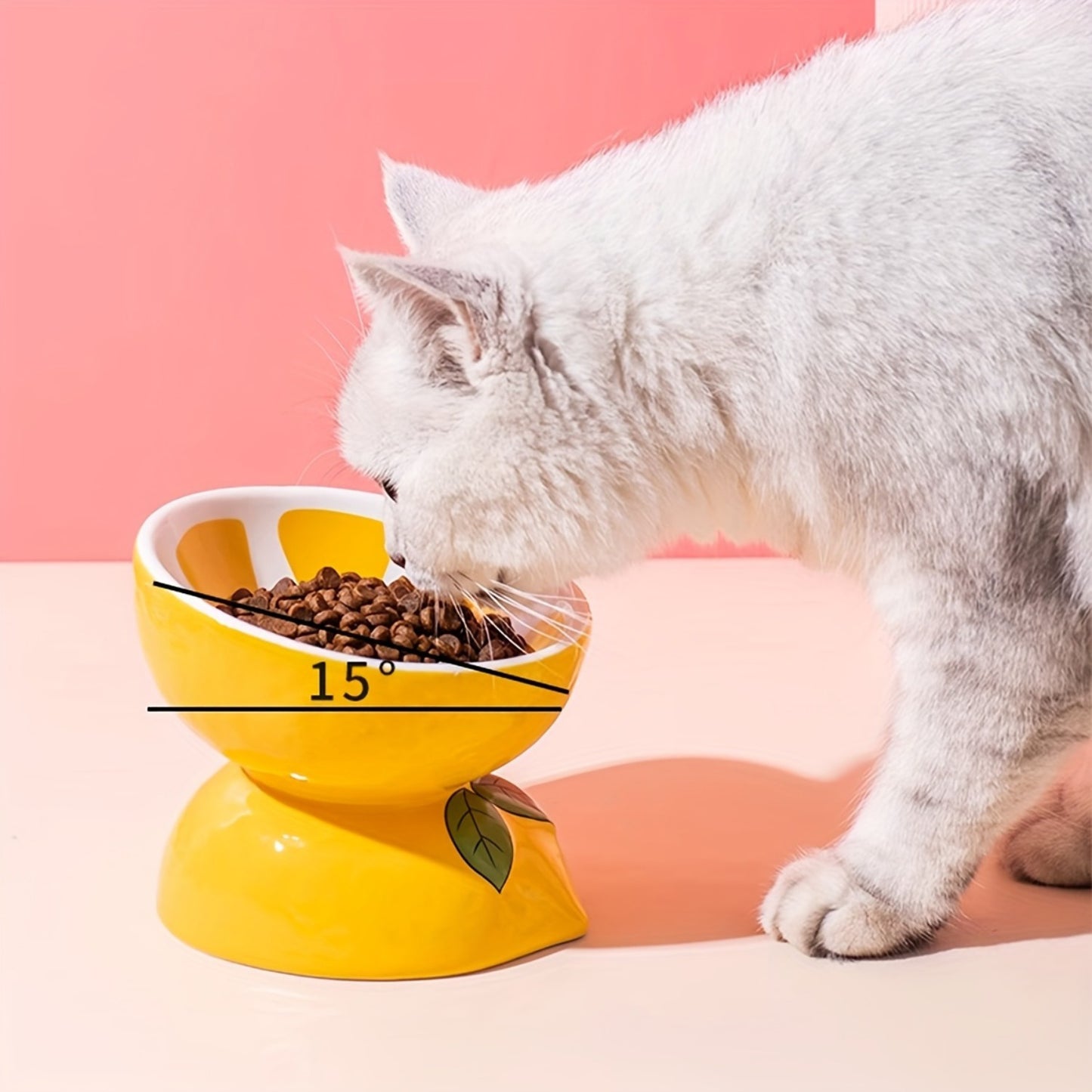 Random Two-Piece Set of Cat Bowls with Anti-Tipping Design