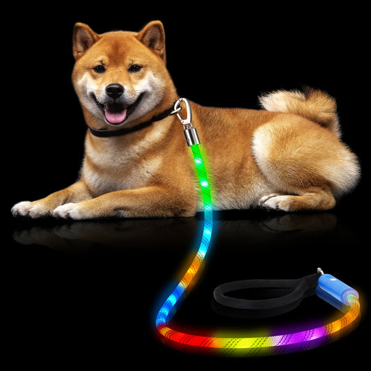 Reflective Dog Leash, Heavy Duty LED Lighted Leash