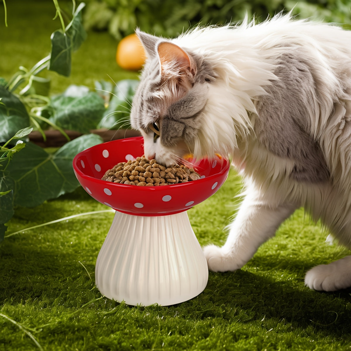 Ceramic Elevated Cat Bowls Set for Comfortable Dining Experience