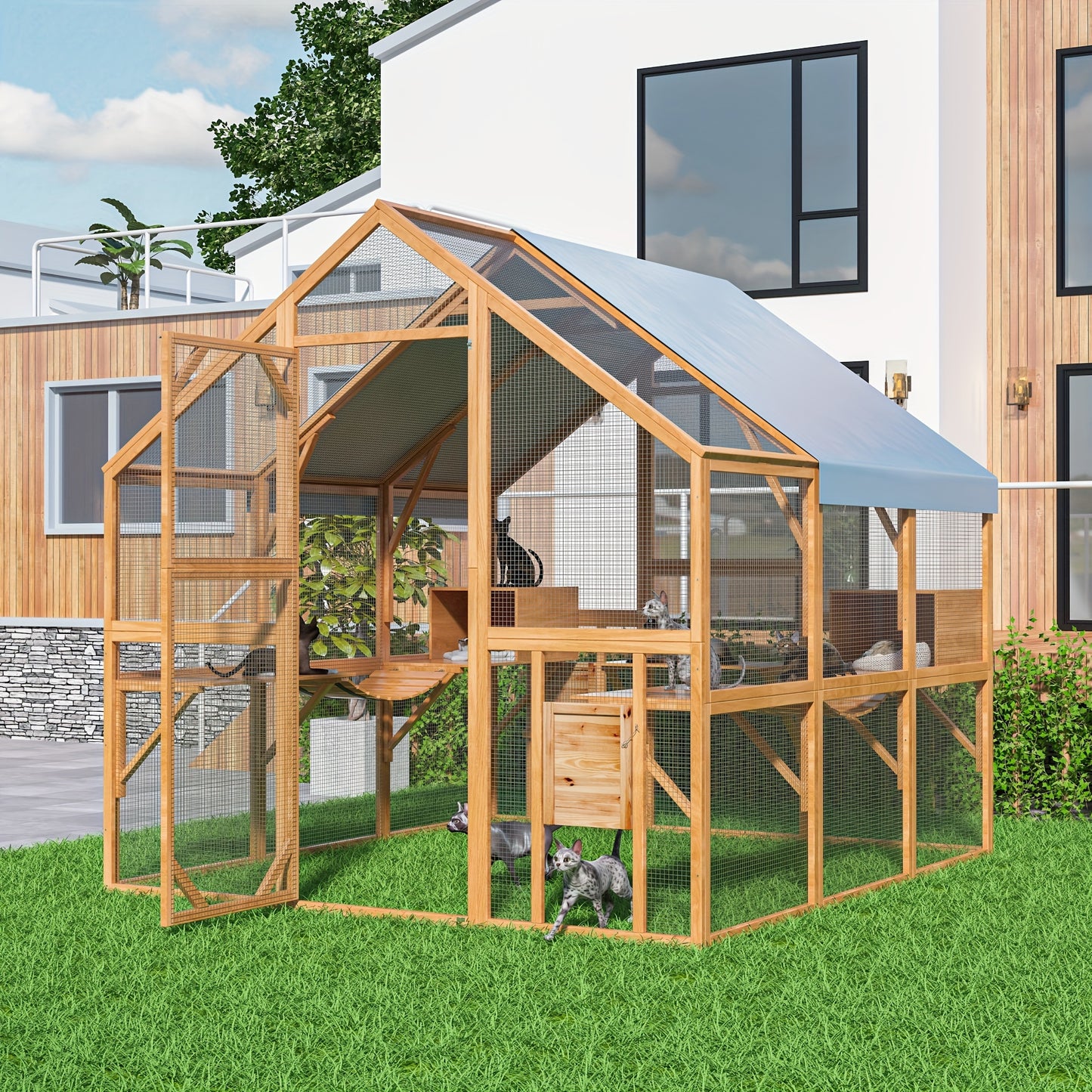 Spacious Outdoor Cat And Chicken Exploration Enclosure For Safety