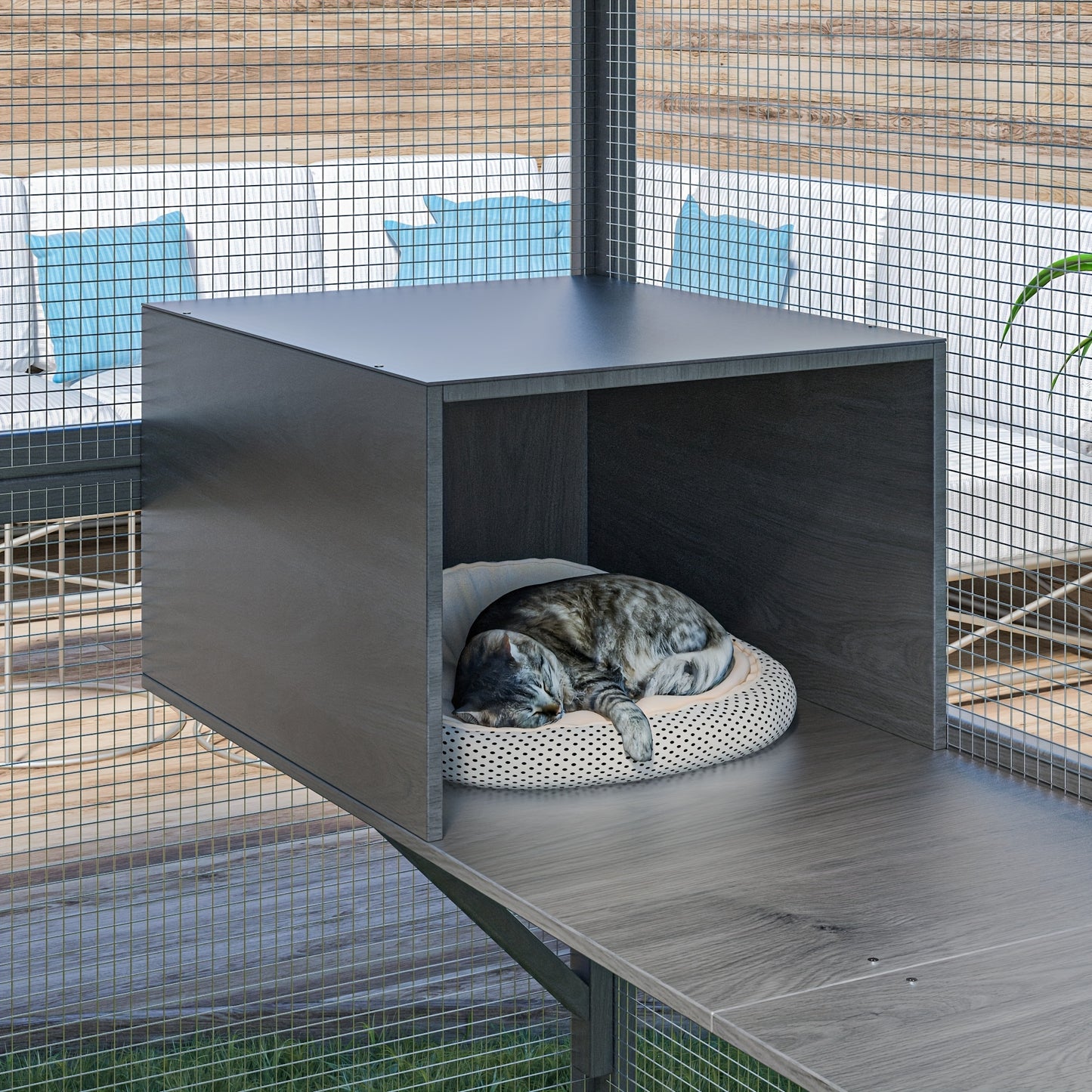 Spacious Outdoor Cat And Chicken Exploration Enclosure For Safety