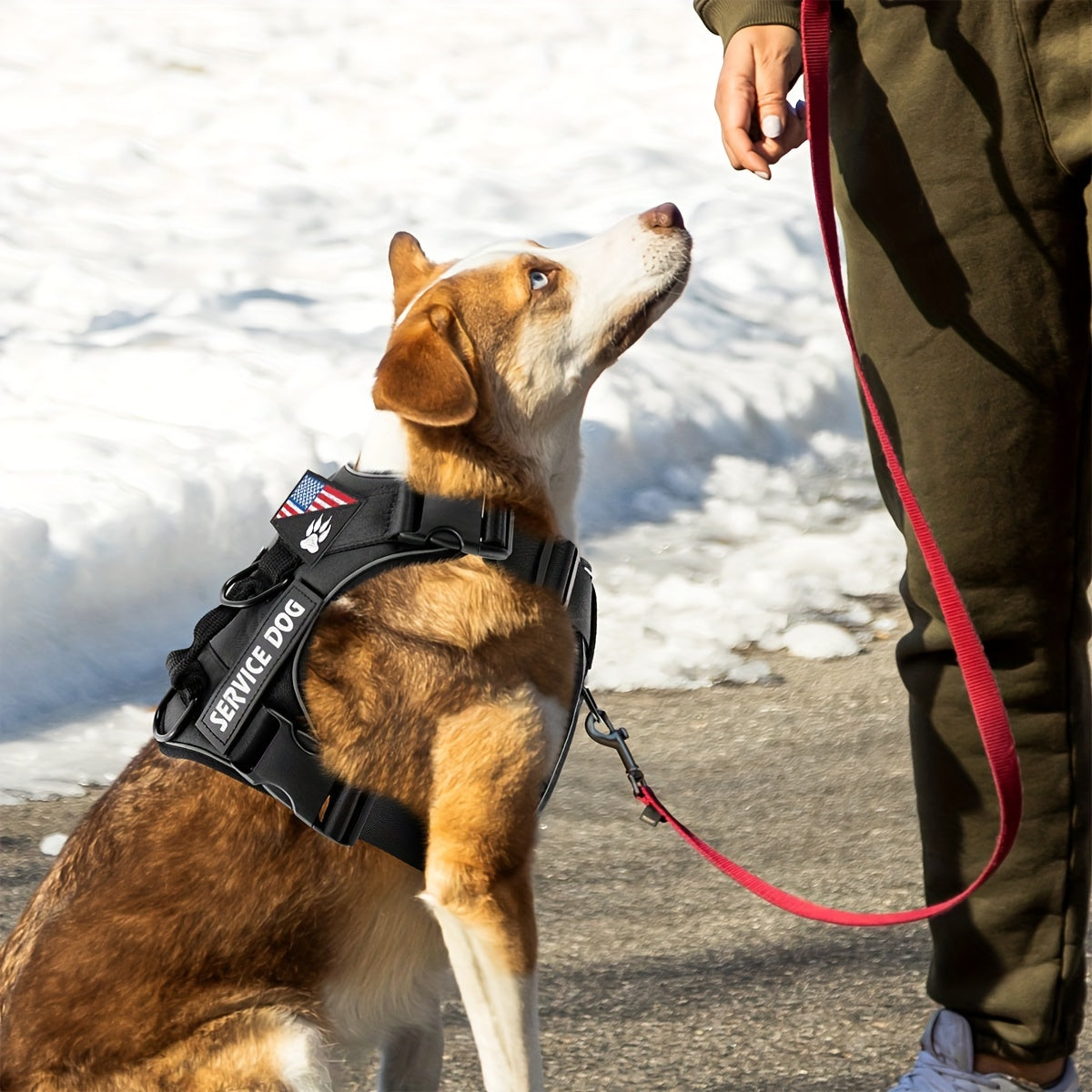 Adjustable Dog Harness Set With Patches Leash And Accessories