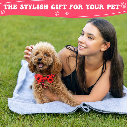 100pcs Dog Bow Tie Collar Set Adjustable Pet Accessories