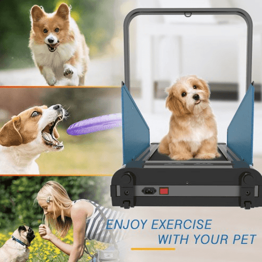 Dog Treadmill for Medium Small Dog Pacer Indoor Exercise